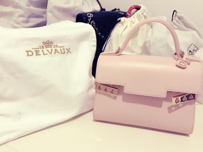 我的包包6——delvaux tempete mini