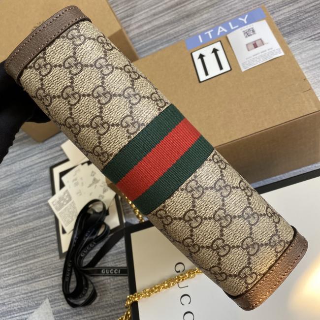 Gucci Ophidia 503877 棕皮/PVC 双G配件包包