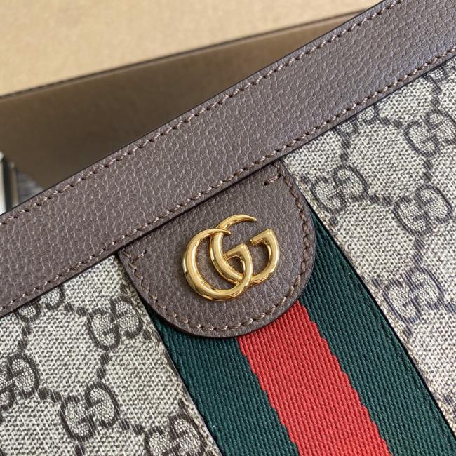 Gucci Ophidia 503877 棕皮/PVC 双G配件包包