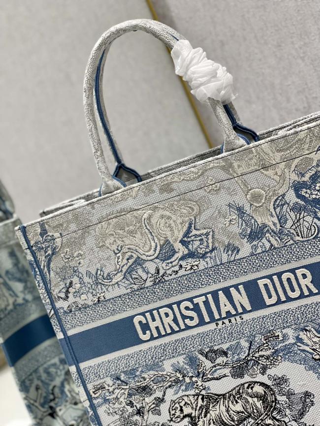 Dior Book Tote 8001大号Bayadere与D-Stripes混合图案，Maria Grazia Chiuri设计