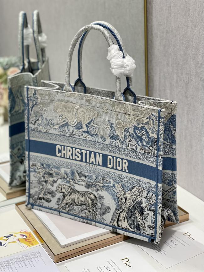 Dior Book Tote 8001大号Bayadere与D-Stripes混合图案，Maria Grazia Chiuri设计