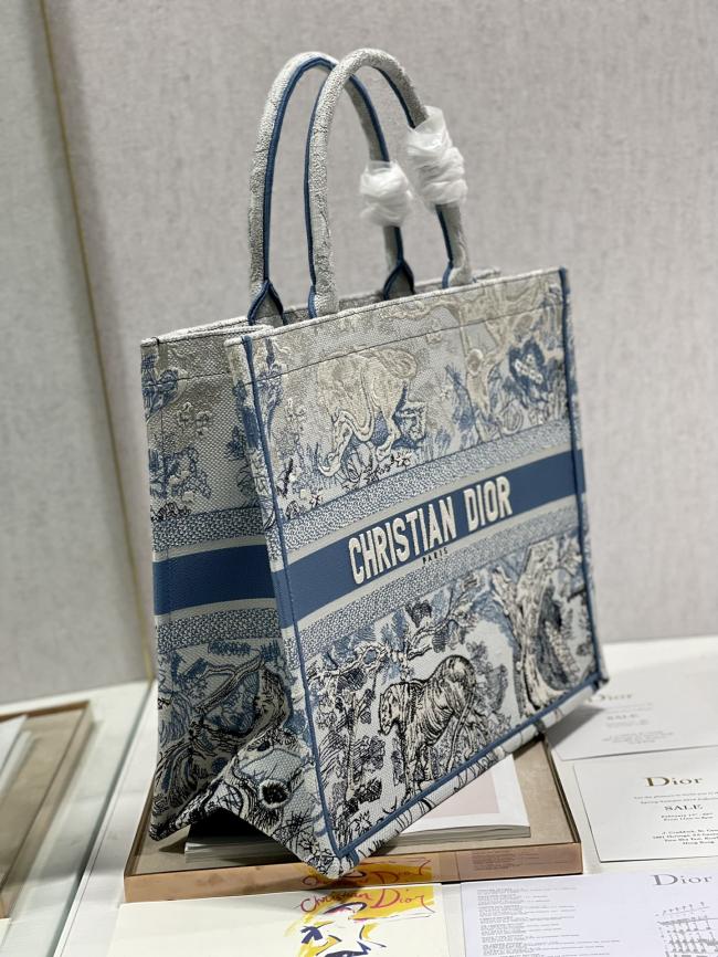 Dior Book Tote 8001大号Bayadere与D-Stripes混合图案，Maria Grazia Chiuri设计