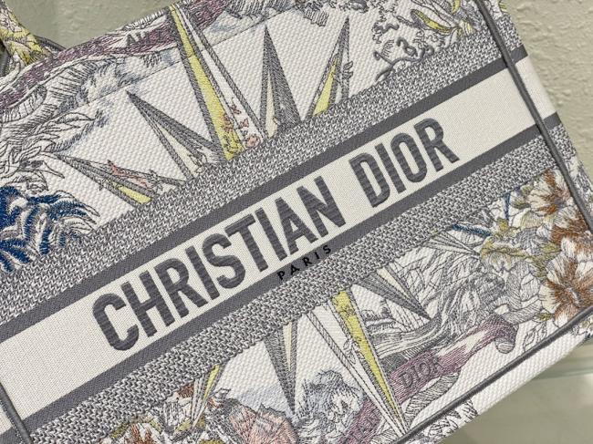 Dior Book Tote款号1：彩色星矢系列，Maria Grazia Chiuri设计