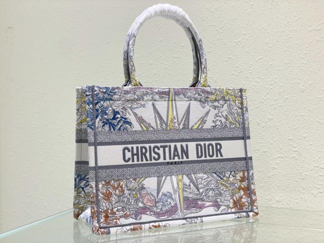 Dior Book Tote款号1：彩色星矢系列，Maria Grazia Chiuri设计