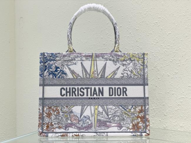 Dior Book Tote款号1：彩色星矢系列，Maria Grazia Chiuri设计